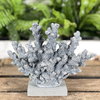 Deko Koralle aus Polyresin 19 cm Korallenfigur grau